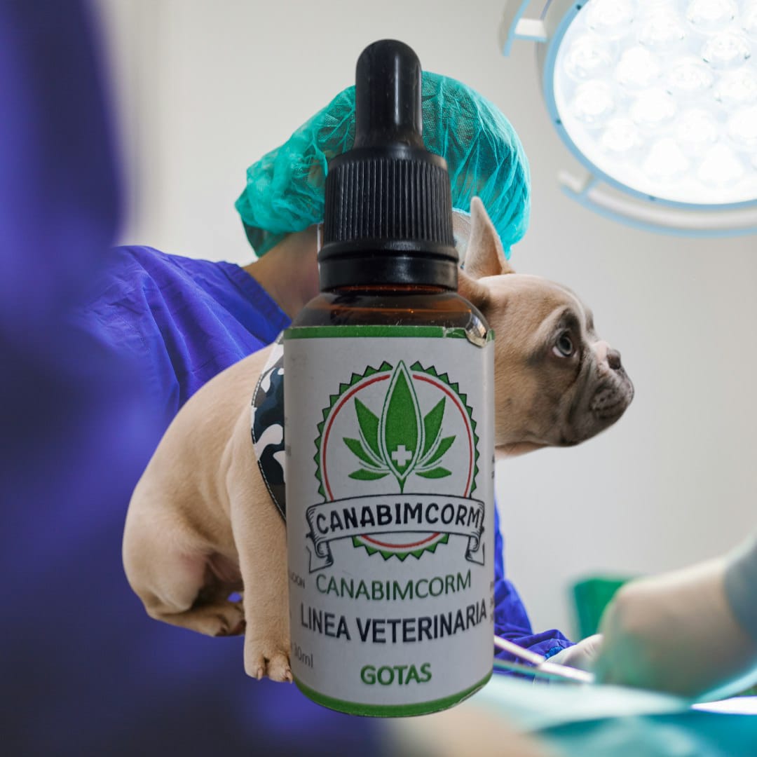 CBD Línea Veterinaria